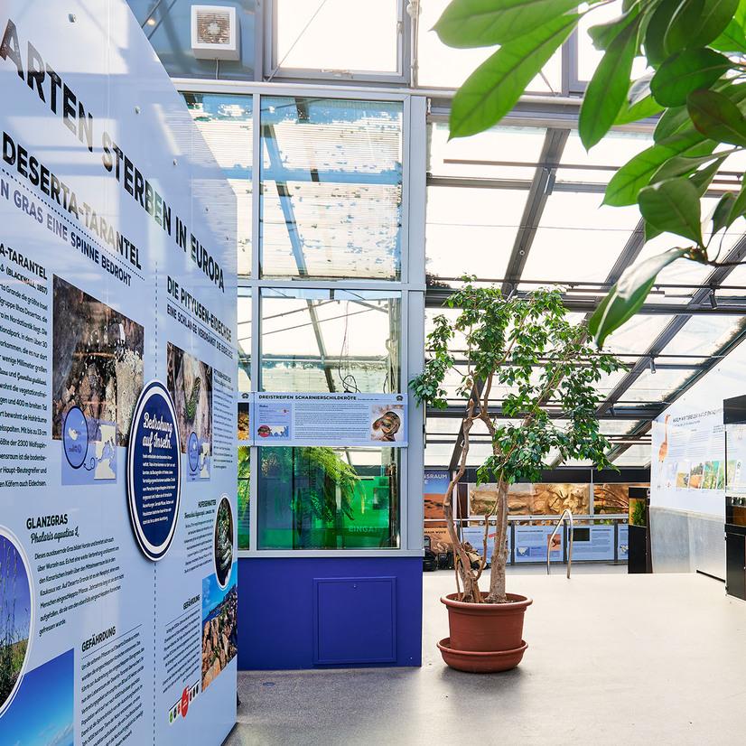 Der Artenschutzcampus im Allwetterzoo Münster mit Terrarien und Infomaterial zum Artenschutz