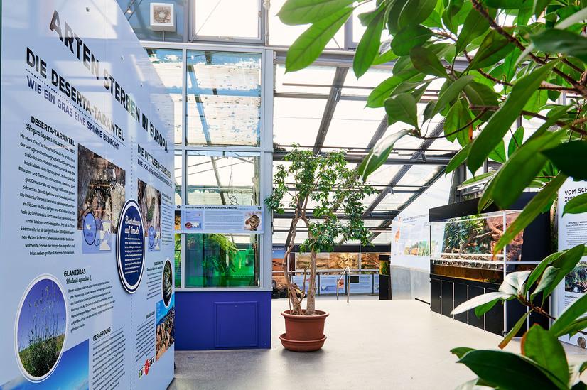 Der Artenschutzcampus im Allwetterzoo Münster mit Terrarien und Infomaterial zum Artenschutz