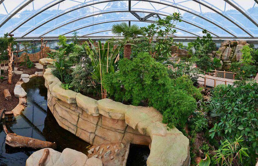 Eine Übersicht über die Meranti Tropenhalle im Allwetterzoo Münster