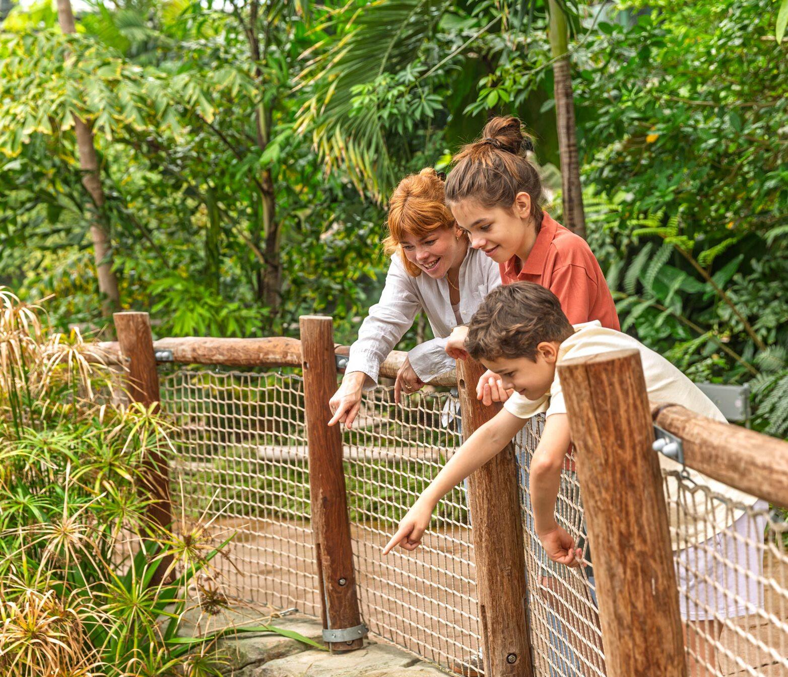 Kinder entdecken mit einer Tierpflegerin gemeinsam den Allwetterzoo Münster bei einer Zooführung