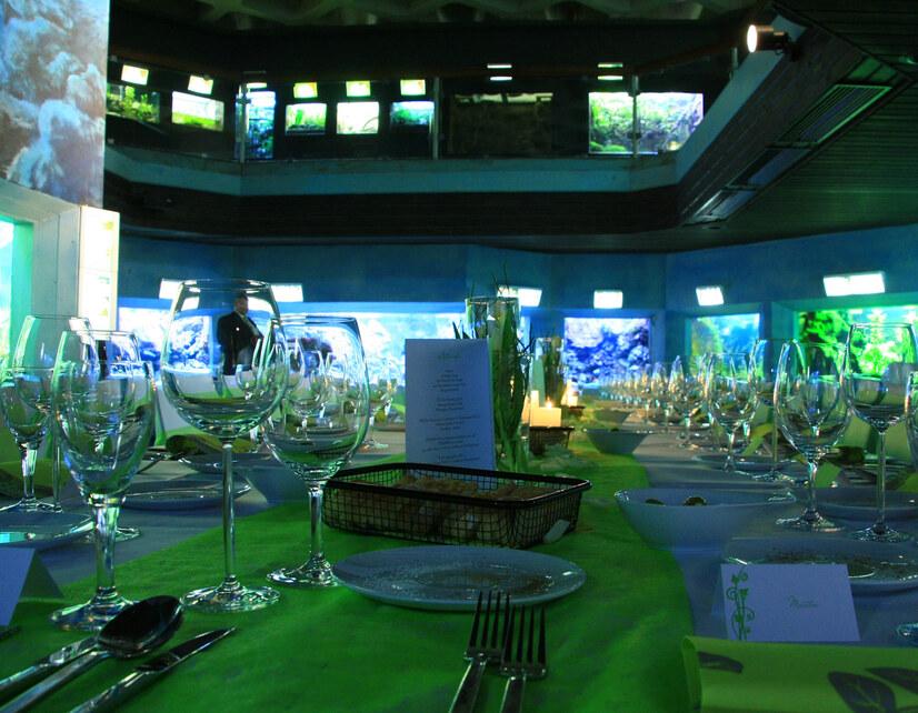 Das Aquarium im Allwetterzoo hergerichtet als Eventlocation in Münster